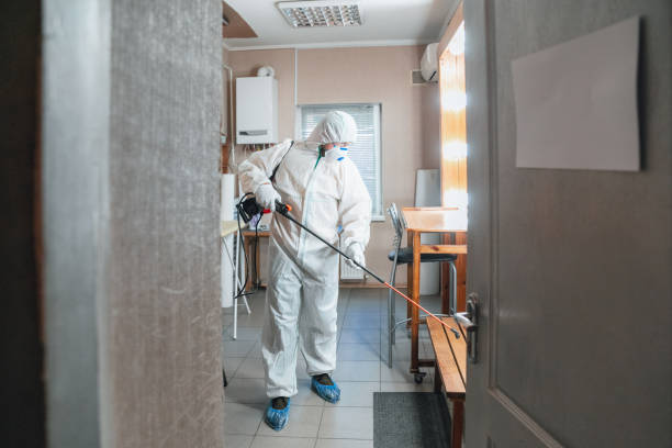 Best Post-Construction Mold Inspection  in North Wilkesboro, NC