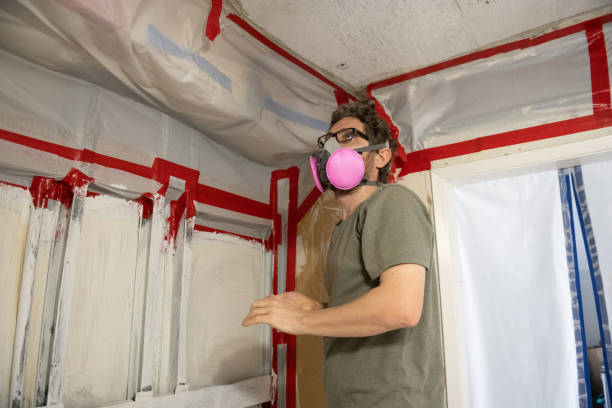 Best Mold-Related Health Consultation  in North Wilkesboro, NC