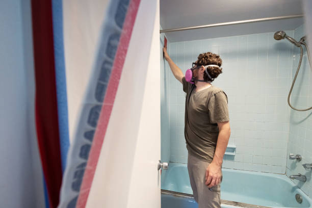 Best Mold Prevention Services  in North Wilkesboro, NC