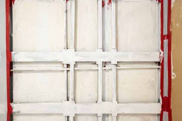 Trusted North Wilkesboro, NC Mold Removal Experts