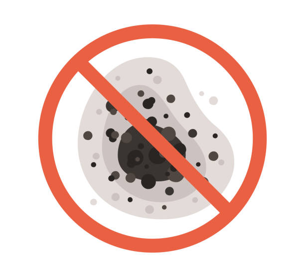  North Wilkesboro, NC Mold Removal Pros