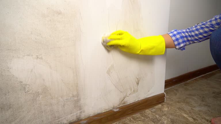 Best Air Quality Testing for Mold Spores  in North Wilkesboro, NC