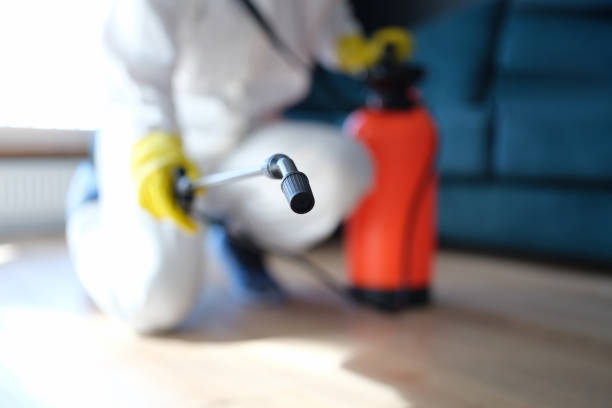 Best Asbestos and Lead Testing During Mold Inspection  in North Wilkesboro, NC