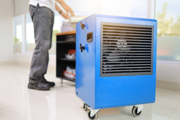 Best Industrial Mold Remediation  in North Wilkesboro, NC