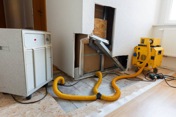 Best Environmental Consulting for Mold Prevention  in North Wilkesboro, NC